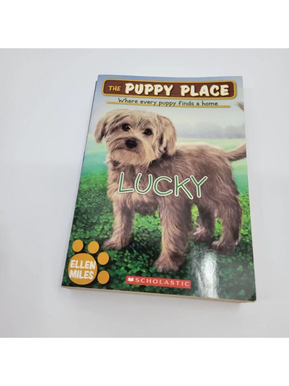 THE PUPPY PLACE Lot of 12 Chapter Books by Ellen Miles - BK112